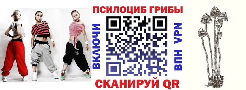 Псилоцибиновые грибы мицелий  Орёл 